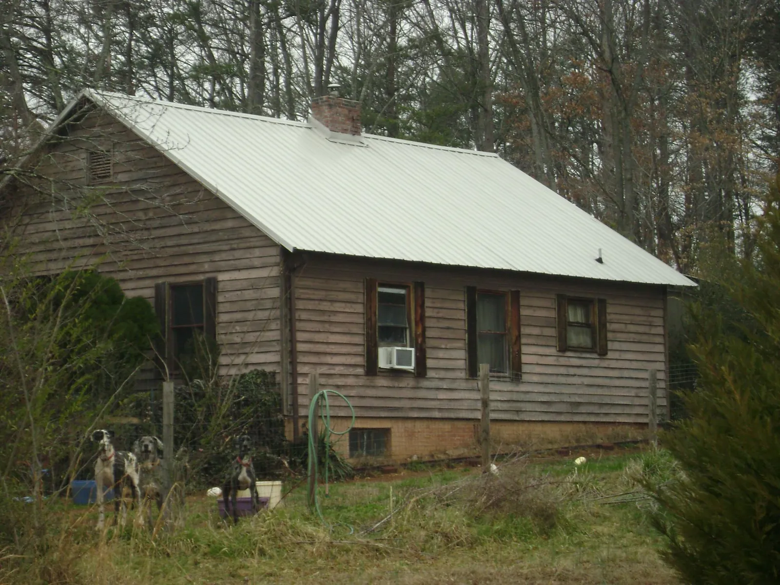 White metal roof on an old wood sided farmhouse, from a Asphalt Shingle Roof Repair job in Albert